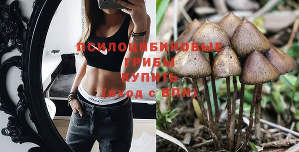 мет Нефтекумск
