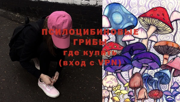 гидра Нефтегорск
