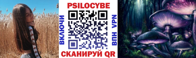 дарнет шоп  Чишмы  Псилоцибиновые грибы прущие грибы 